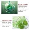 Buy cheap 1oz/30ml OEM Organic Tea Tree Relief Essence Face Serum Repair Acne Pimple Remover from wholesalers