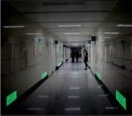 PVC Type Eco Solvent Printable Photoluminescent Vinyl Glow In The Dark 2 - 12