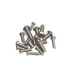Anti-Theft Torx Pin Screw Made of SS304 Steel for Maximum Protection and