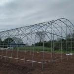 Wind Resistance Plastic Film Greenhouse with 90% Light Transmittance