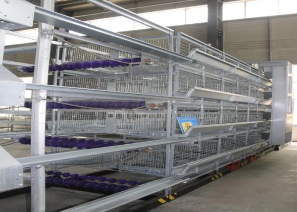 Buy cheap Reliable Safety Cage Holding Poultry Chicken Breeding Cages Save Space from wholesalers