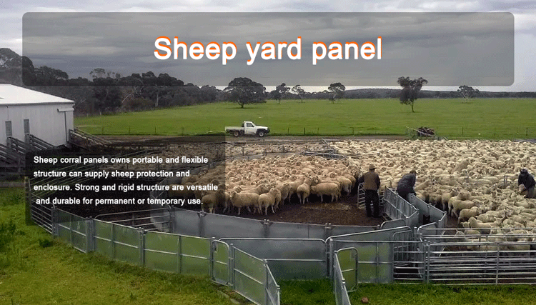 1.8m Hot Dip Galvanized Livestock Corral Panels For Cattle Fence