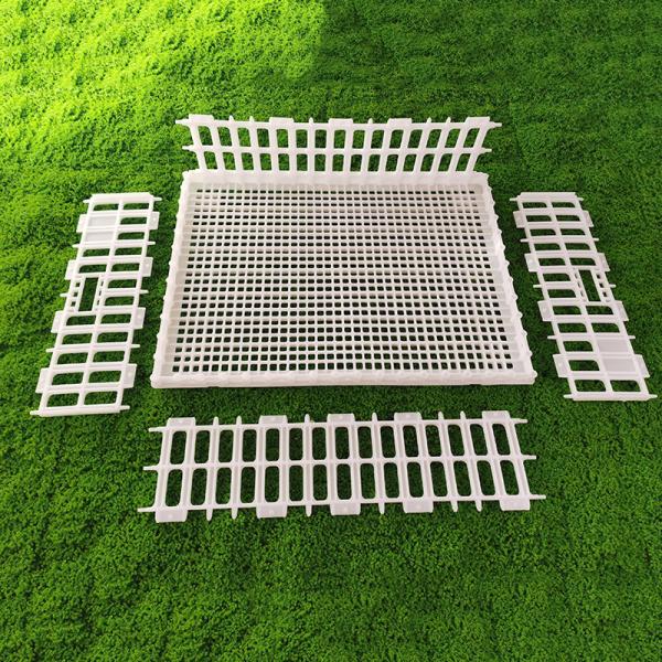 Buy cheap Ventilated Portable Poultry Travel Cage Easy Assembly Yellow White Plastic Carrier from wholesalers