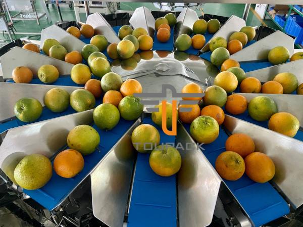 Buy cheap Oranges Food Grade 5.0L 14 Head Multihead Weigher from wholesalers
