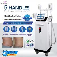 Buy cheap Professional Fat Freezing Cryolipolysis Machine Slimming Weight Loss Fat product