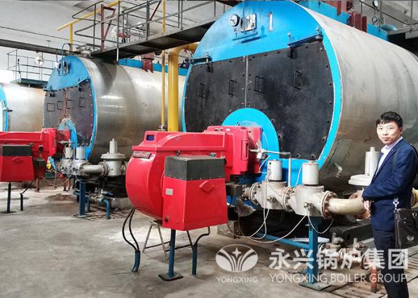 Quality 10 Ton Gas Fired Steam Boiler 10000Kg/Hr Running Low Consumption Fuel for sale