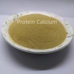Organic Ca Calcium High Lysine Amino Acid Chelate Elements Animal Feed Additives