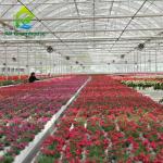 Hot Dip Galvanized Steel Plastic Film Greenhouse 3-8m Gutter Four Seasons