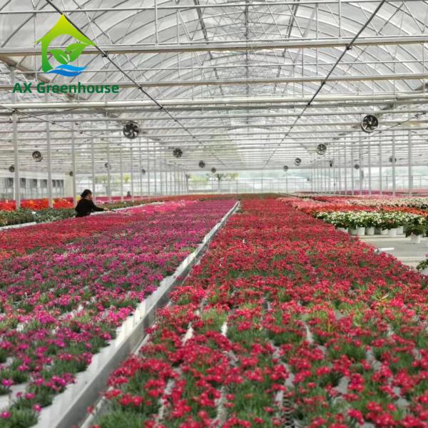 Buy cheap Hot Dip Galvanized Steel Plastic Film Greenhouse 3-8m Gutter Four Seasons Greenhouse from wholesalers