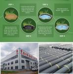 Industrial Design Style 0.2-2mm HDPE Geomembrane Liners for Desert Area Planting