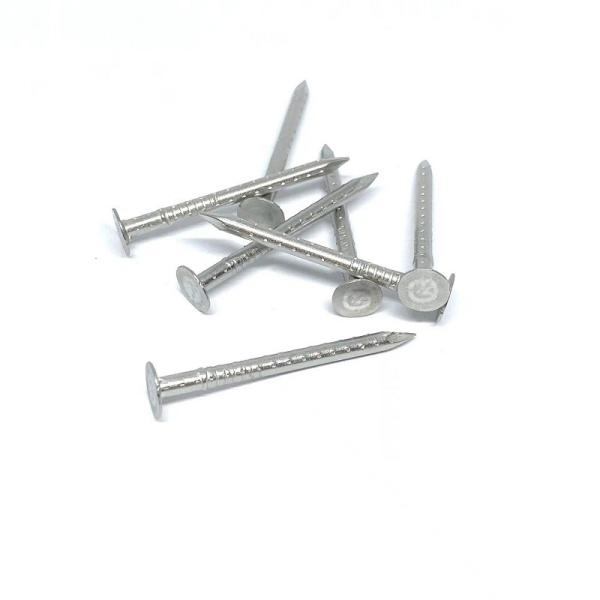 Buy cheap Clout Head 4 Hollow Shank Stainless Steel Nails Anti Corrosion from wholesalers