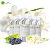 Buy cheap Bulk Pure Over 4000 Kinds Brand Body Oil Perfumes For Male And Female from wholesalers