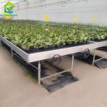 Flower Planting Greenhouse Seedbed Rolling Benches Grow Table Movable
