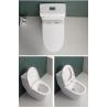 Buy cheap Siphonic S Trap 300mm Sanitary Ware Toilet Modern Comfort Height from wholesalers