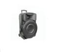60W RMS Powerful Portable Speakers Active USB Trolley Column Speakers