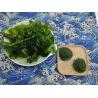 Buy cheap Umami Aonori Seaweed Sprinkles for Japanese Cuisine Rice Potato Chips Seasoning from wholesalers