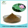 Buy cheap Chinese Herb Medicine Loss Weight Product Lotus Leaf Extract Powder from wholesalers