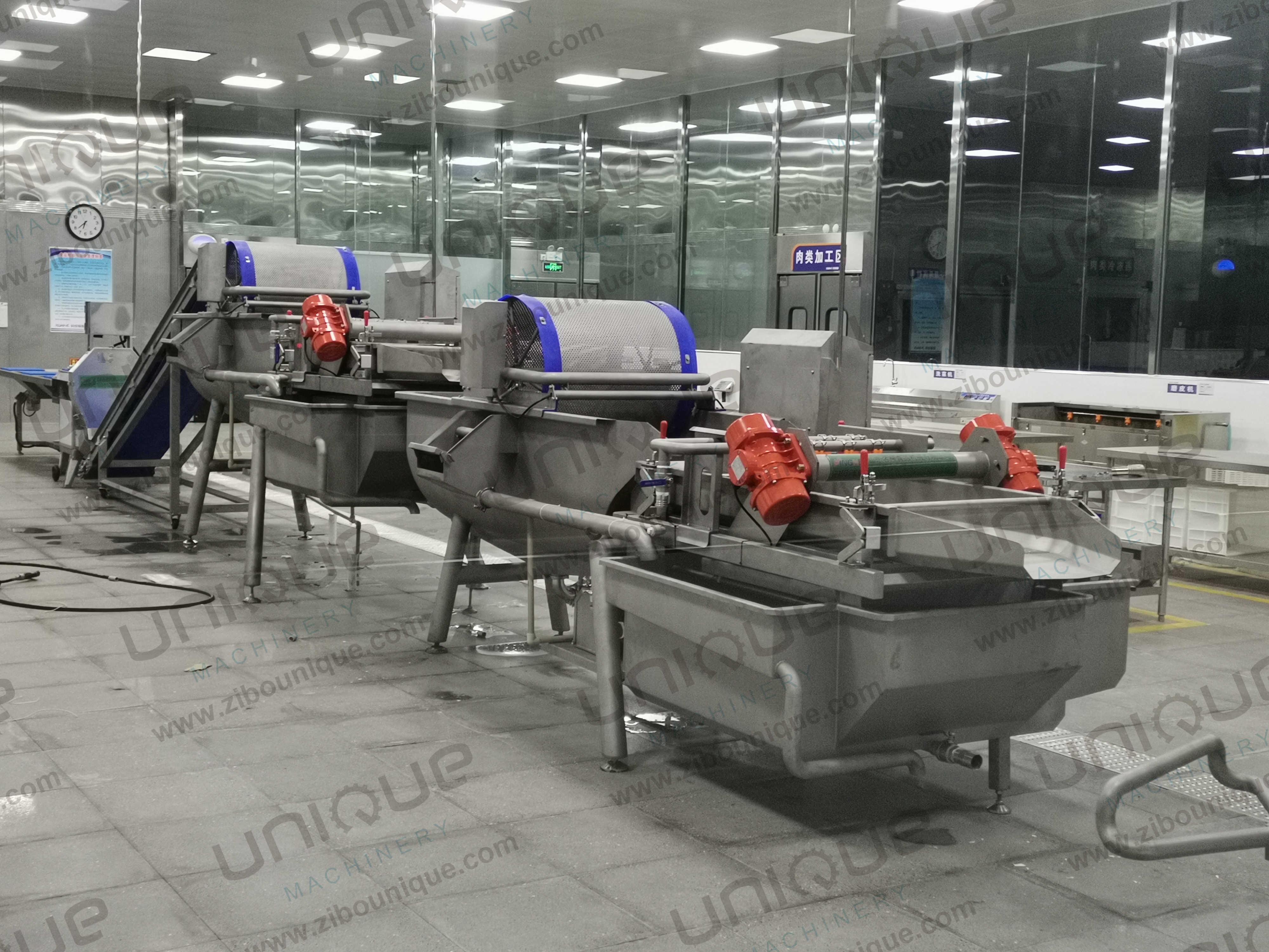 Grapefruit Watermelon Pineapple Peeling Machine for Stainless Steel 304 Applications