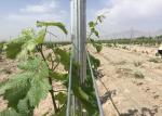 Pre Galvanized 54X30MM Steel Trellis System For Garden Plants Corrosion