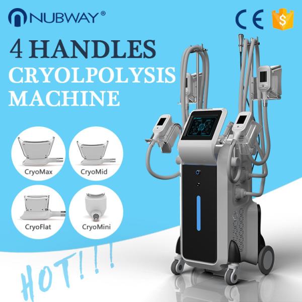 Buy cheap 2018 trending products 4 handles weight loss beauty equipment cryolipolysis slimming machine for cellulite removal from wholesalers