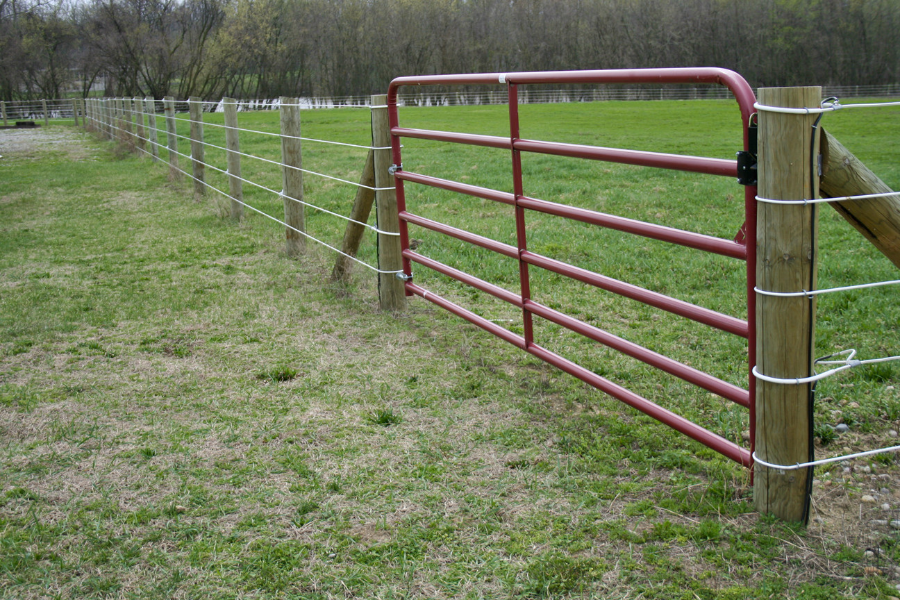 Gate 5 Bar 16' (4800mm) - Farm Field Brisbane Pick up