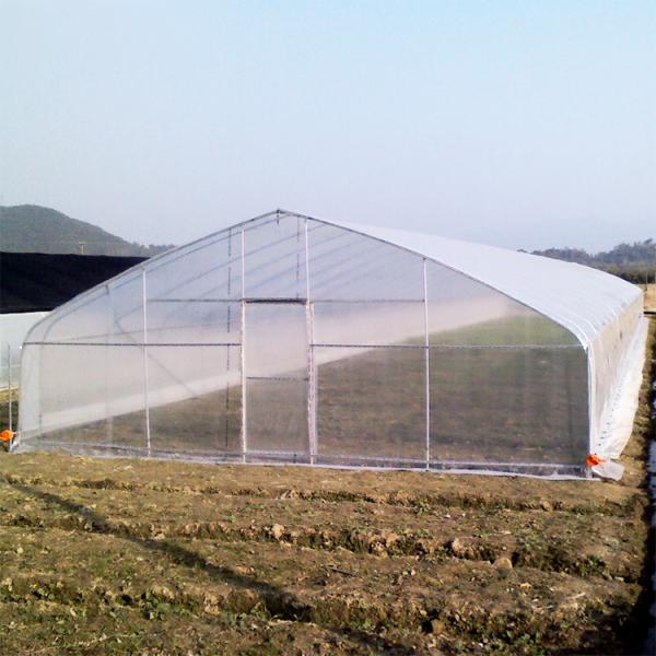 Buy cheap High Strength Agricultural Poly Tunnel Tomato Greenhouse 5*15m 17*50ft from wholesalers