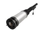 A2203202338 Mercedes Benz Air Suspension Parts Rear Strut Shock Absorber S Class