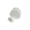Buy cheap FDA OEM 1 Ply Dental Rolls For Home from wholesalers