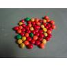 Buy cheap Safety Health Joys Mini Chocolate Beans Abundant Nutrition HACCP Certification from wholesalers