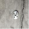 Buy cheap Pipe Din Pn16 Plate Flanges Carbon Steel Forging from wholesalers