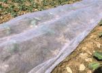 White PET Spunbond Nonwoven Fabric Anti UV For Agriculture Industry
