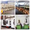 Buy cheap Wholesale DIY Tool 2-Inch A Type Steel Spring Clamp Rubber Handle Light Duty Spring Clamps from wholesalers