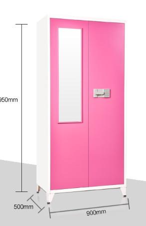 Quality ISO9001 2 Doors Metal Locker Storage Cabinet Extendable for sale