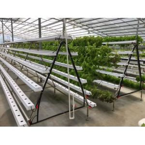 Buy cheap CO2 Control NFT Hydroponic Equipment Hydroponic Garden Tower OEM ODM from wholesalers
