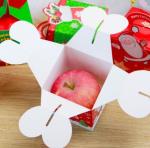Cardboard Paper Christmas Apple Box 9x9x16cm Full Color CMYK Printing