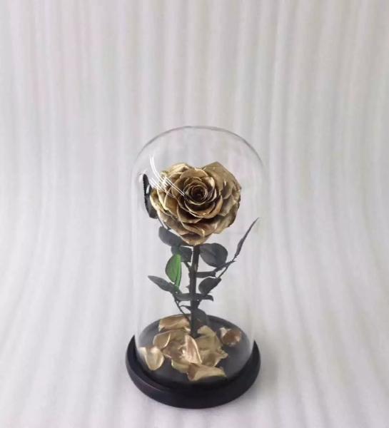 Real Natural Fresh Big Rose Preserved Flower Preserved Everlasting Real Roses in