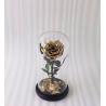 Buy cheap Real Natural Fresh Big Rose Preserved Flower Preserved Everlasting Real Roses in Glass Dome for Sale from wholesalers