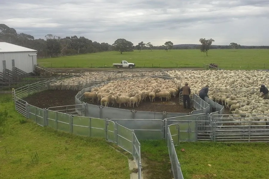 1.8m Hot Dip Galvanized Livestock Corral Panels For Cattle Fence
