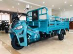 250CC Motorized Cargo Tricycle with 3 Wheel Motorcycle Trike Gasoline from