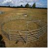 Buy cheap Portable Horse Stall Panels 30 METER Heavy Duty 6 Oval Rail - Cattle Yard Victoria from wholesalers