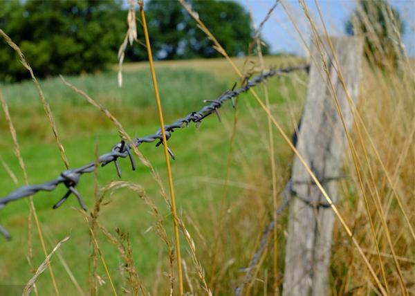 Buy cheap Rust Resistance Double Strand Traditional Twist Barbed Wire Fence from wholesalers