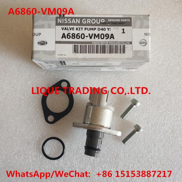 Buy cheap NISSAN Overhaul kits A6860-VM09A , A6860VM09A , A6860 VM09A = 1460A037 include valve 294200-0360 from wholesalers