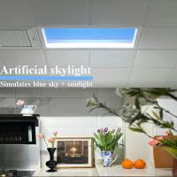Buy cheap Artificial Daylight Faux Skylight Panels 100W Ceiling Recessed Mounted Dimmable product