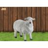Buy cheap White Life Size Fiberglass Dolly Sheep Statue Animal Sculpture Garden Decor from wholesalers