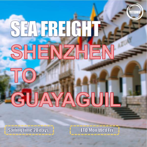 Buy cheap WIFFA Sea Freight Logistics Transport From Shenzhen To Guayaguil Ecuador South America from wholesalers