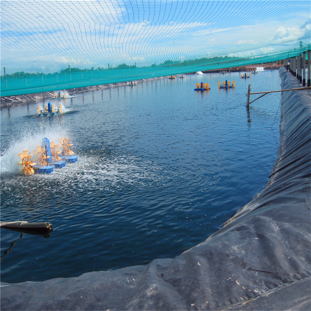 0.3mm 0.5mm 0.75mm Shrimp Farm Liner Geomembranes for Fish Breeding and Landfill Liner