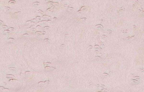 Buy cheap Natural Dyed Maple Wood Veneering For Plywood / Furniture Decoration from wholesalers