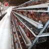 Buy cheap A Type Layer Battery Chicken Cages Automatic Poultry Zinc Cocating 275g / M2 from wholesalers