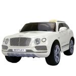 Plastic 6v or 12v Electric Ride On Car with Remote Control from Authorized