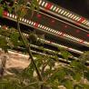 Buy cheap 320watt Horticulture LED Grow Light 3000K 3500K Full Spectrum Samsung LM301H from wholesalers